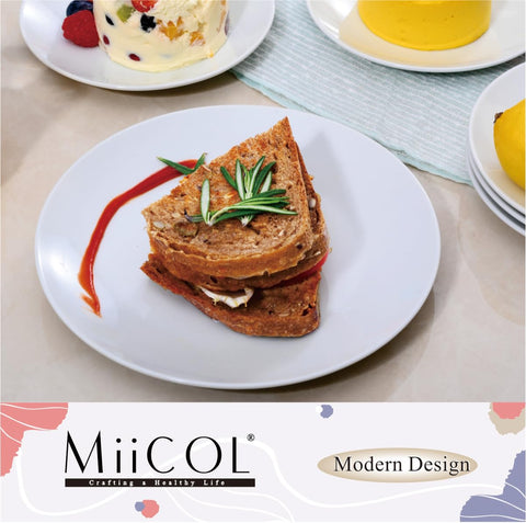 Miicol modern white plates for everyday dining and entertaining