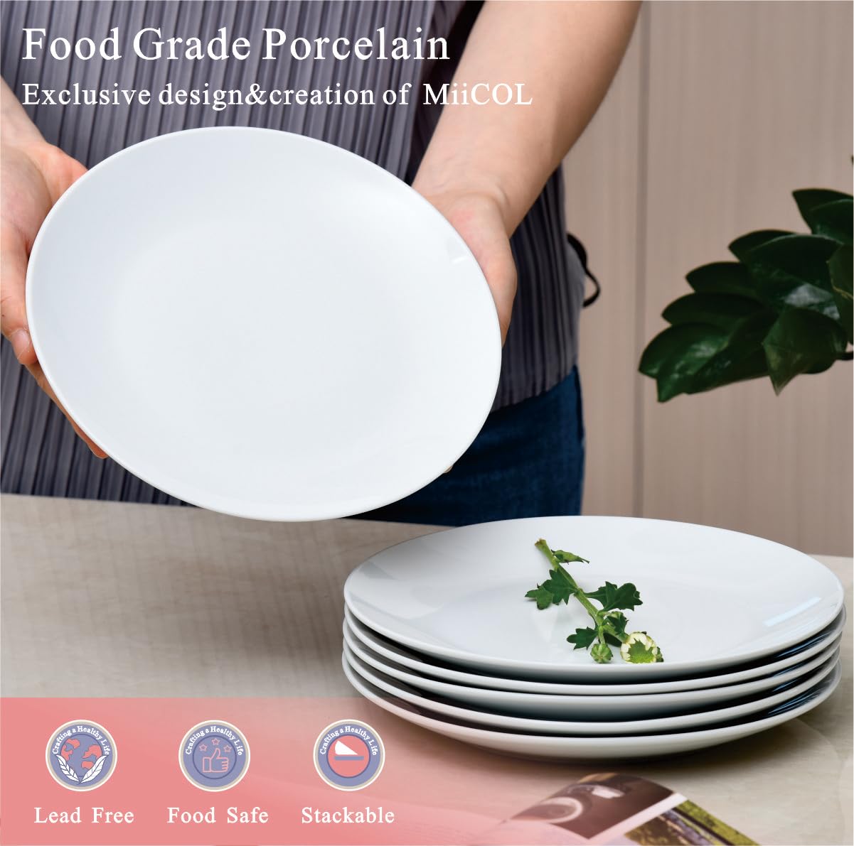 Miicol porcelain serving dishes for snacks, fruit, or cheese