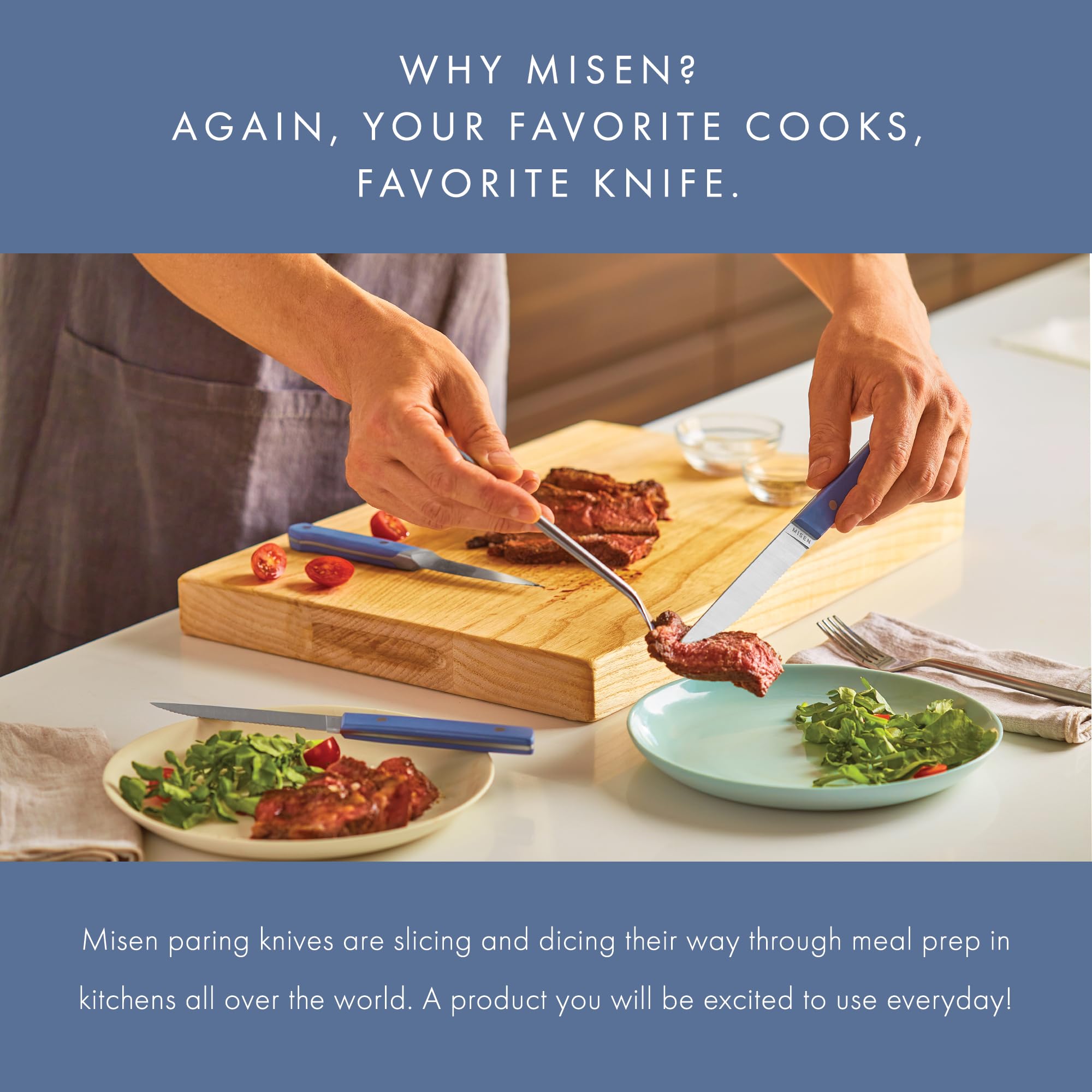 Misen paring knife with ergonomic POM handle designed for fingertip control