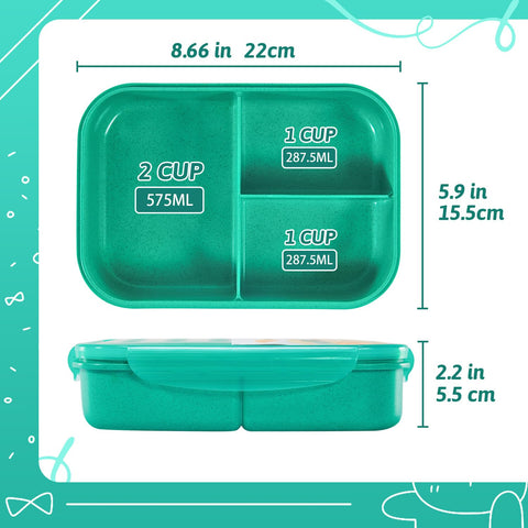MISS BIG Bento Box two sizes for kids and adults.