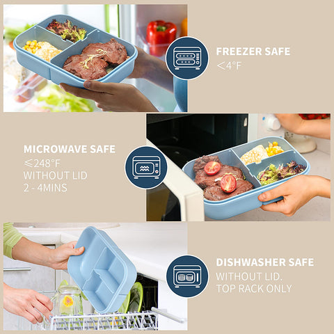 MISS BIG Bento Box comes in two sizes for kids and adults