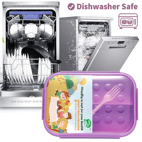 MISS BIG Bento Box portable and lightweight design fits in a bag
