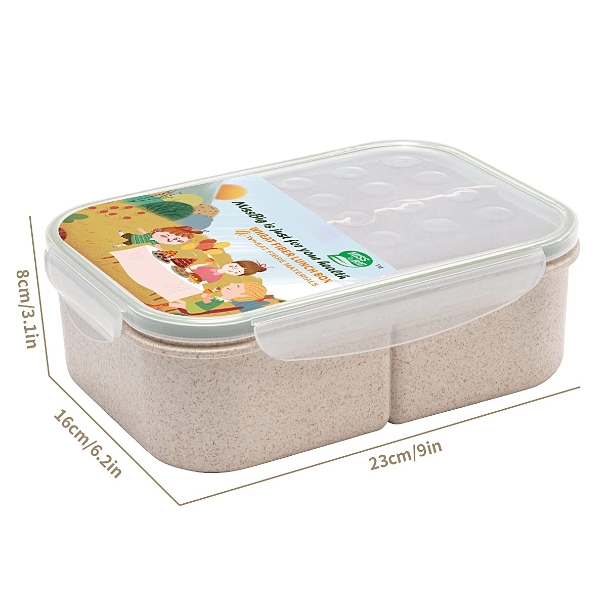 MISS BIG Bento Box three compartments for balanced portions