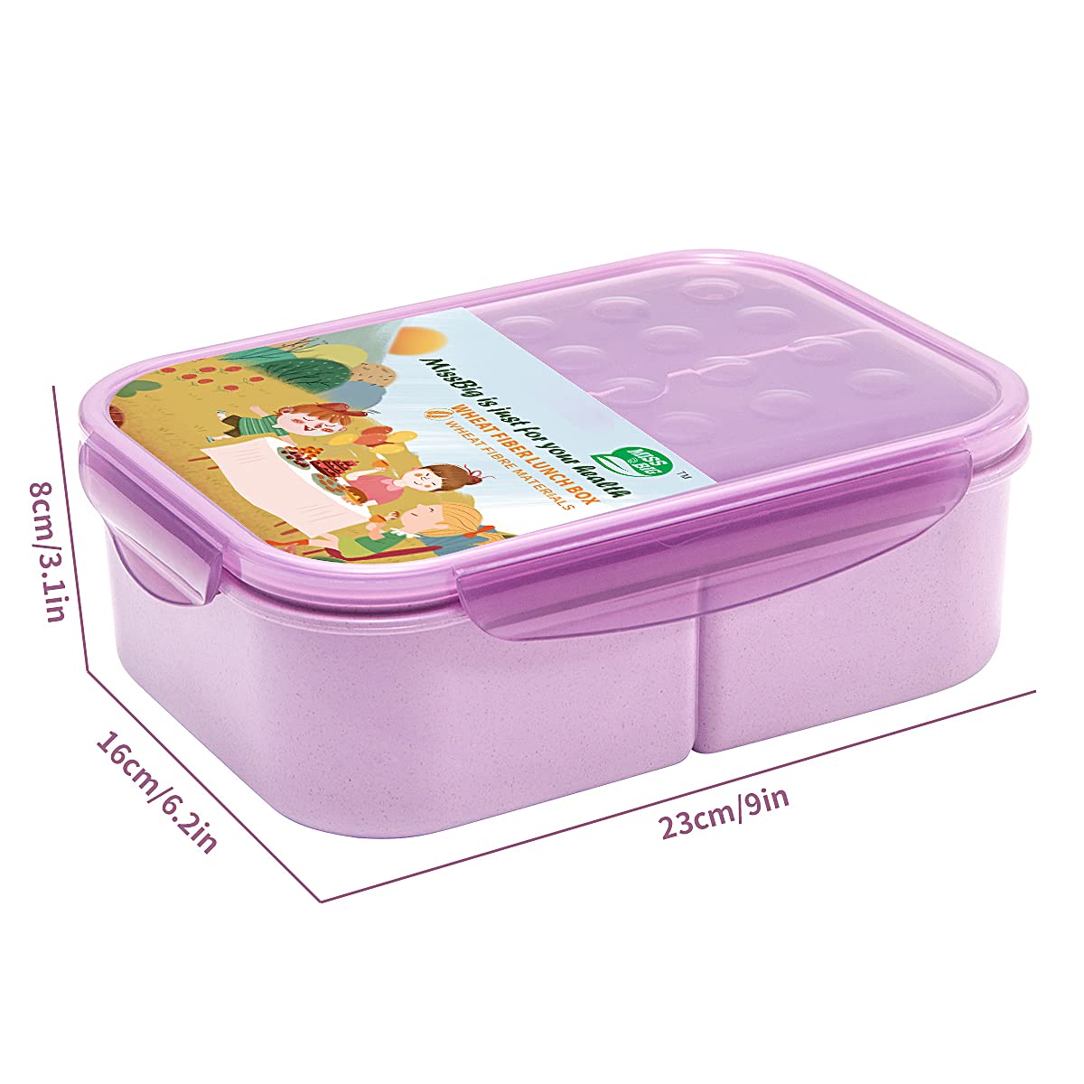 MISS BIG Bento Box three compartments for balanced meals