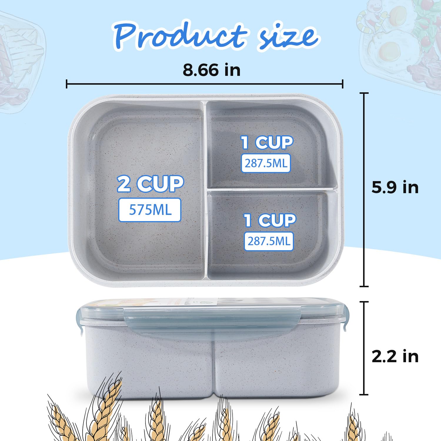 MISS BIG Bento Box comes in two sizes for kids and adults.