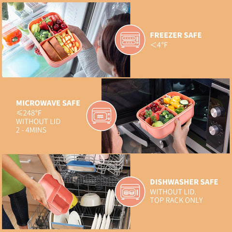 MISS BIG Bento Box two sizes provide versatile options for kids and adults.
