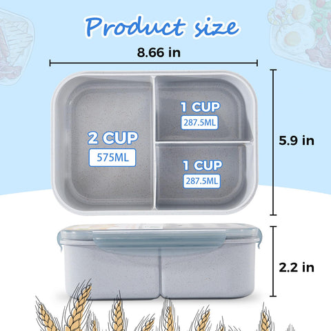 MISS BIG Bento Box comes in two sizes for kids and adults.