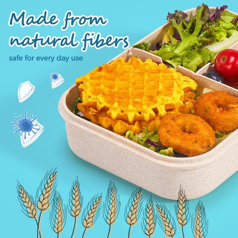 MISS BIG BPA-free lunch box keeps meals free of chemical dyes.
