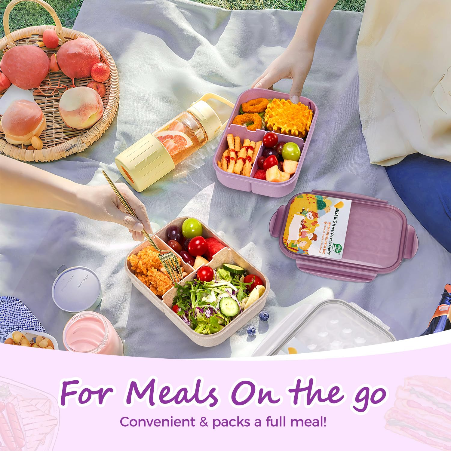 MISS BIG lunch box for kids showing three compartments for balanced meals.
