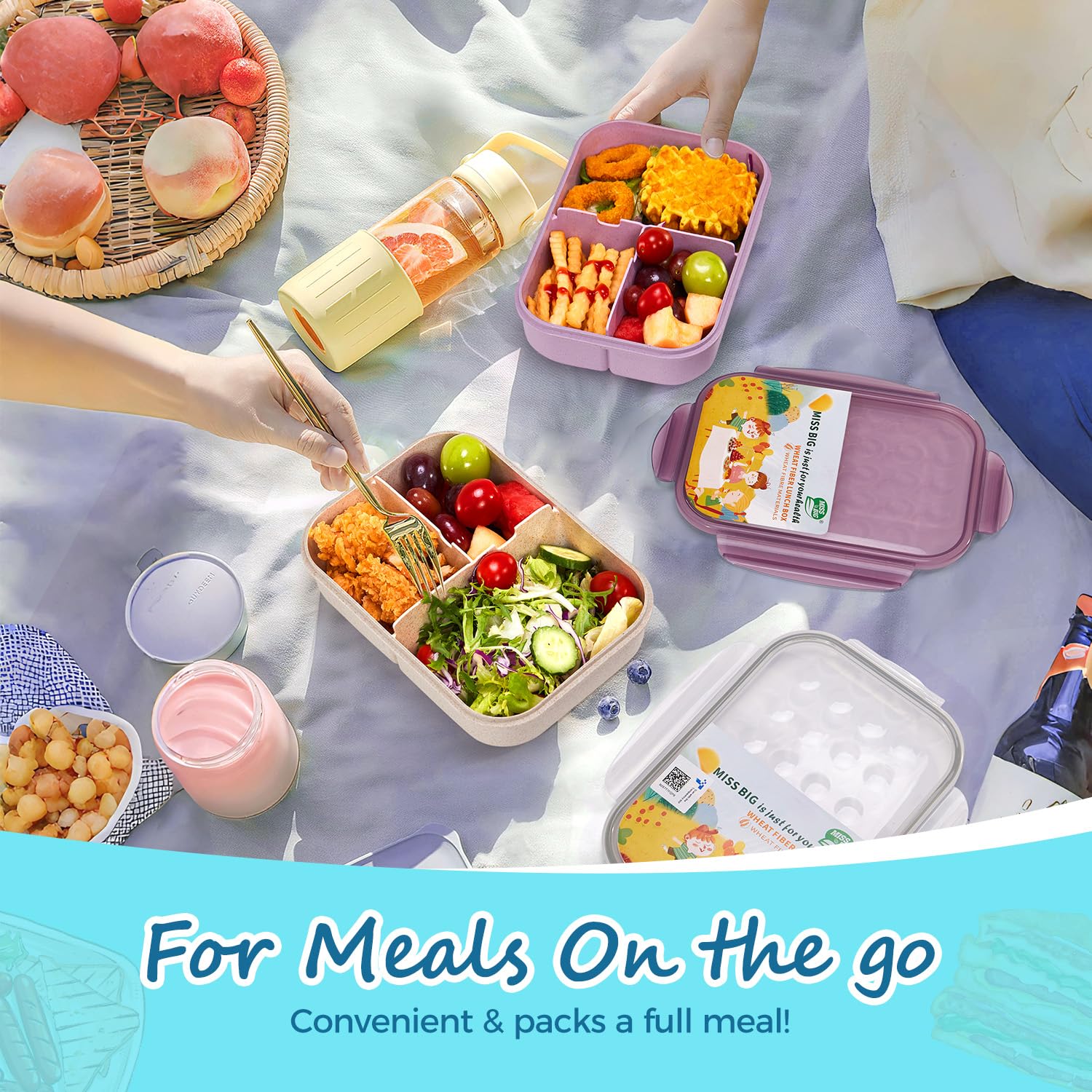 MISS BIG three-compartment lunch box for balanced kid-friendly meals at school.