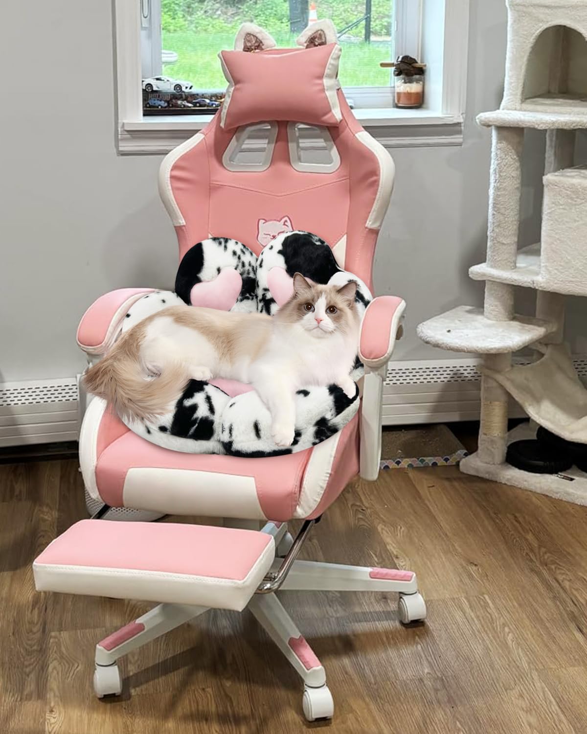 MOONBEEKI Cat Paw Cushion Chair on the floor demonstrates versatile decor options.