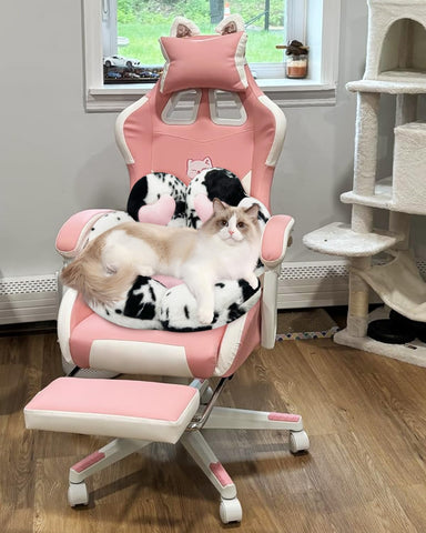 MOONBEEKI Cat Paw Cushion Chair on the floor demonstrates versatile decor options.