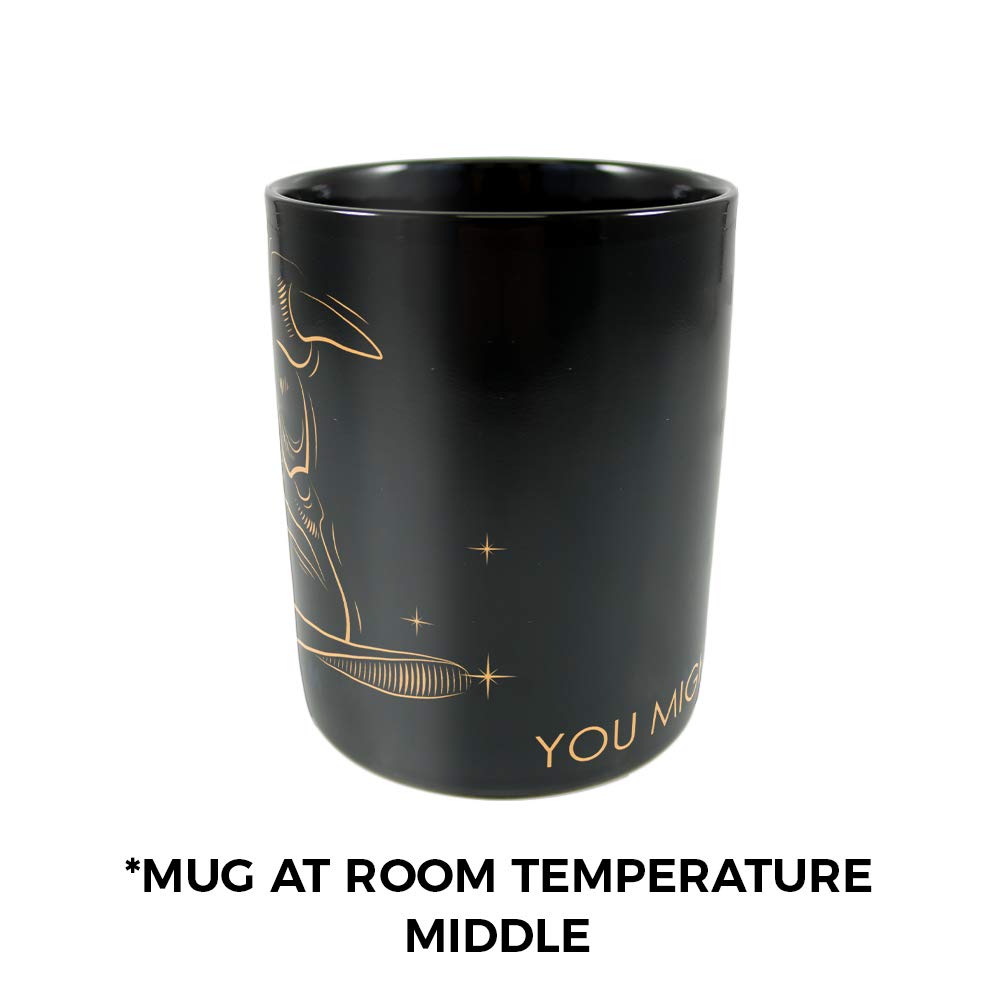 Morphing Mugs display-worthy mug suitable for gifting and collecting