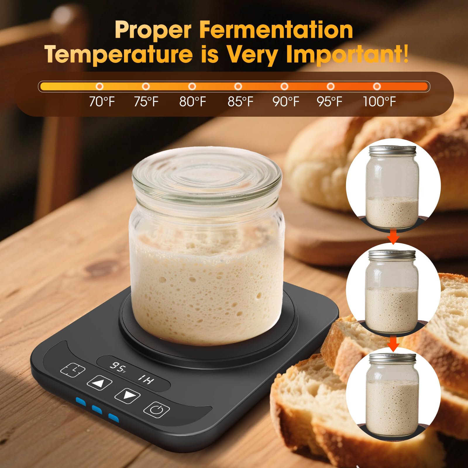 MQUPIN sourdough warmer heating area supports most fermentation vessels for easy setup.
