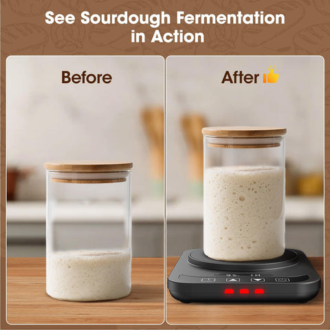 MQUPIN sourdough warmer red and blue indicators show heating status at a glance.
