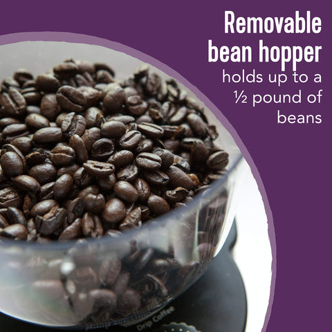 Mr. Coffee burr mill auto shutoff ensures safe, unattended operation.