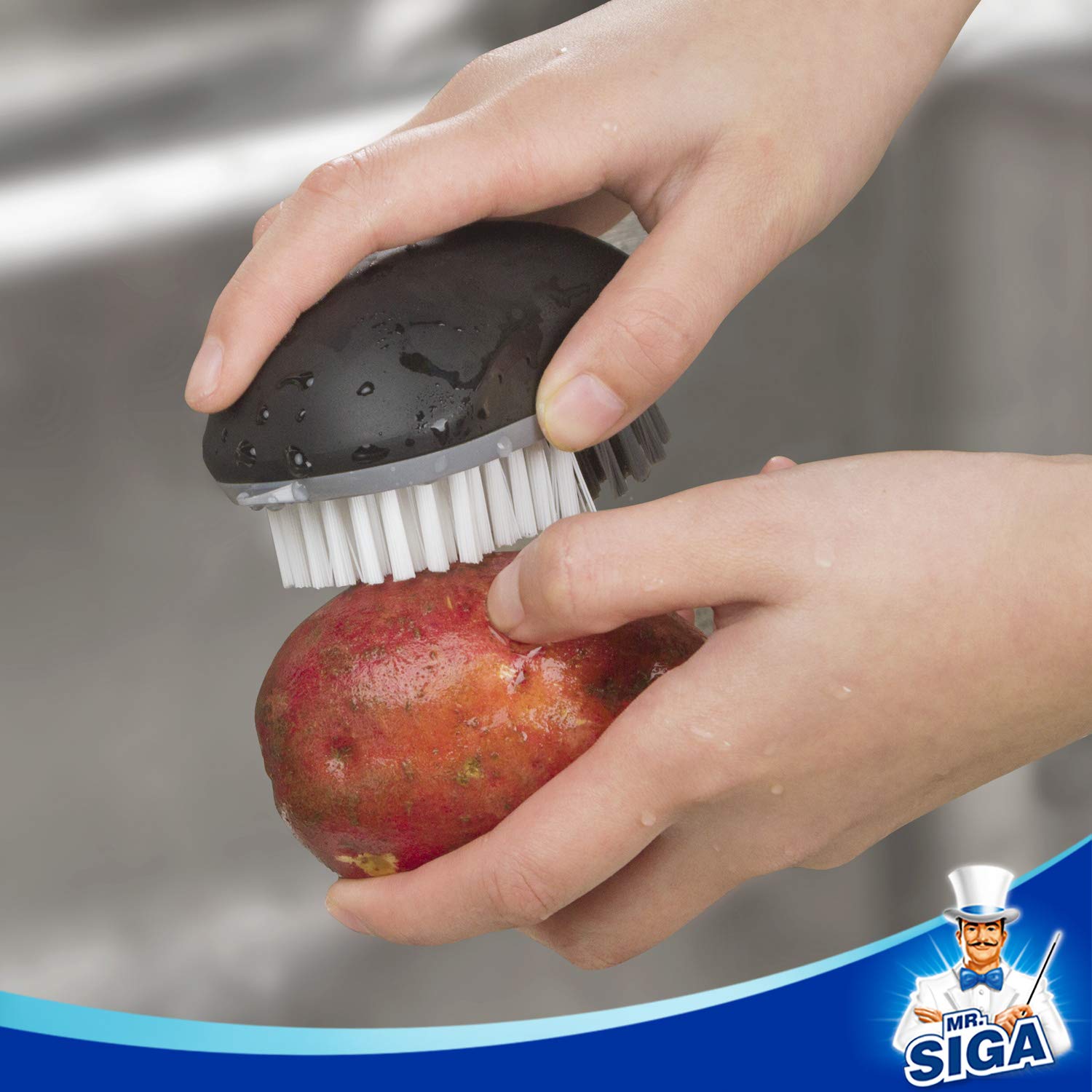 MR.SIGA angled grey bristles ideal for mushrooms and soft produce.