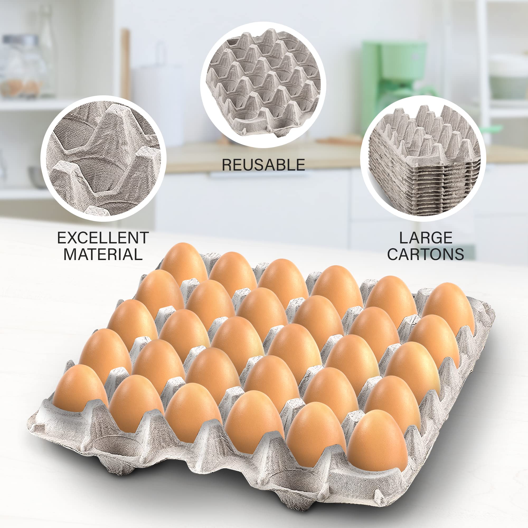 MT Products biodegradable pulp fiber carton suitable for crafts and plant transport.