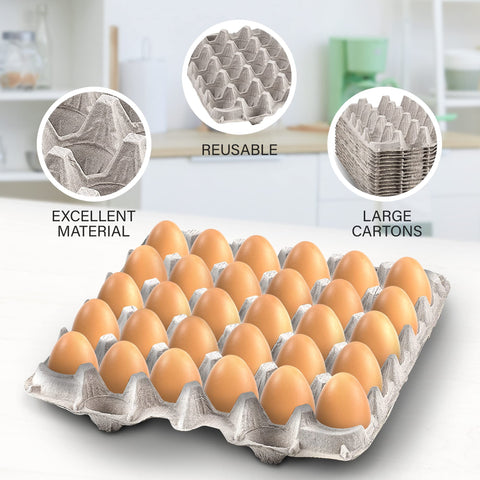 MT Products biodegradable pulp fiber carton suitable for crafts and plant transport.