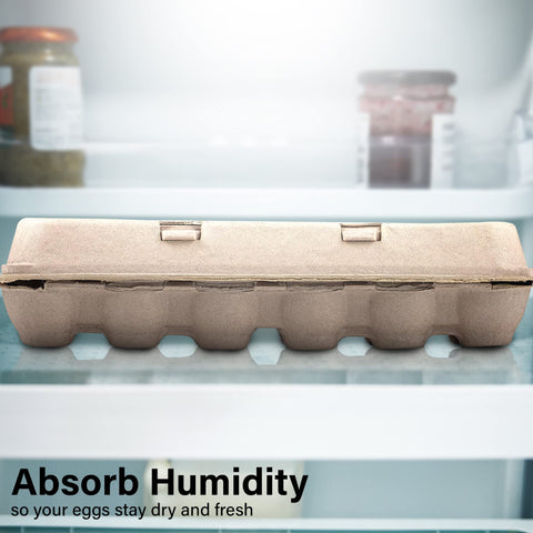 MT Products blank natural pulp egg carton, eco-friendly material ideal for sustainable farming.