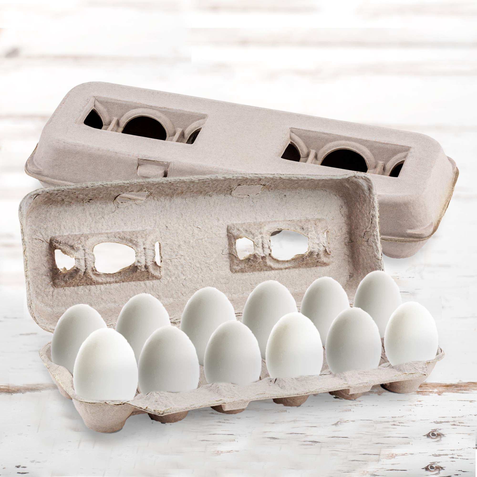 MT Products blank egg carton seed tray use for crafts or planting