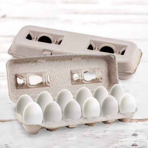 MT Products blank egg carton seed tray use for crafts or planting