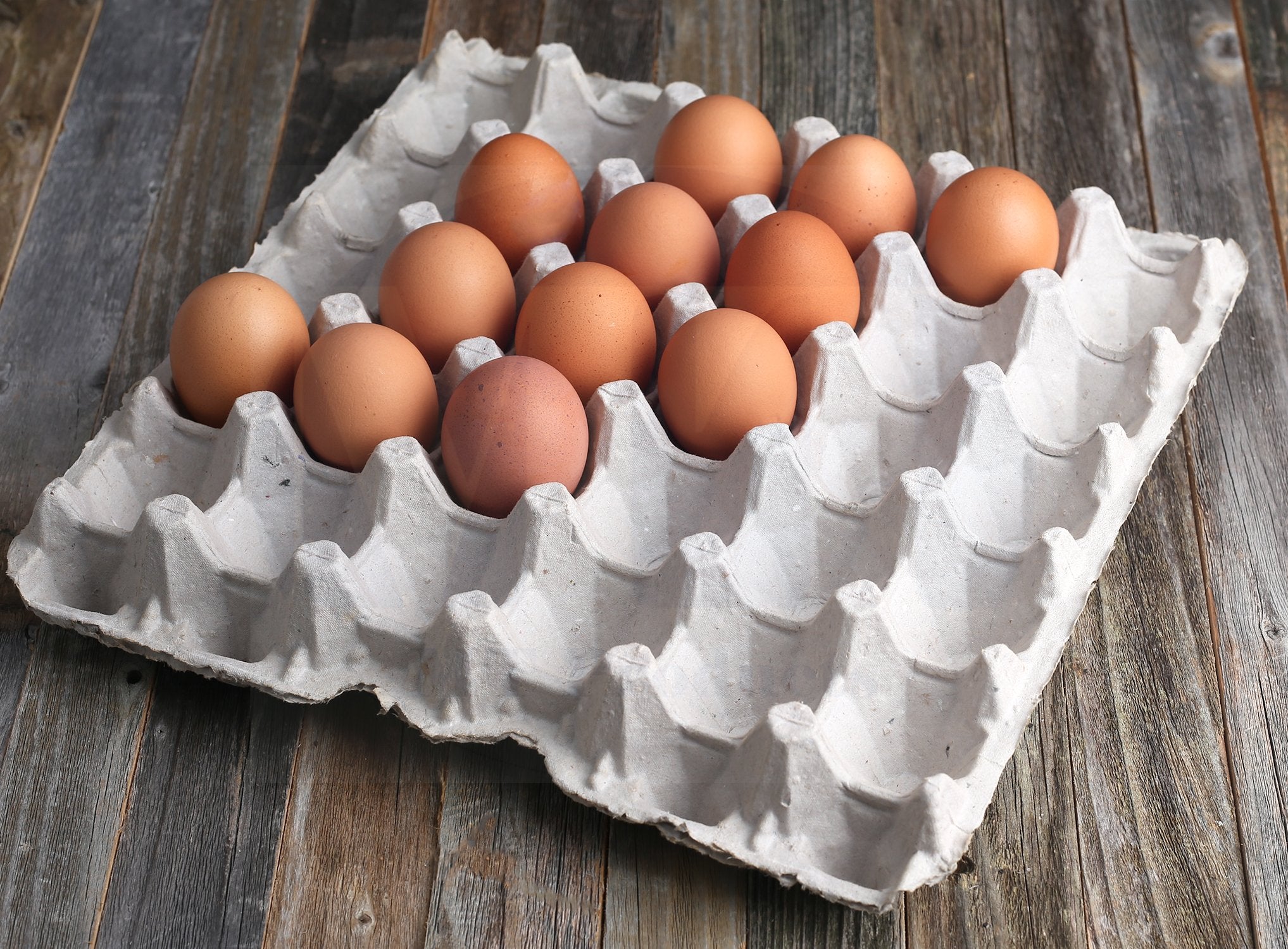 MT Products USA-made egg carton provides sturdy farm storage.