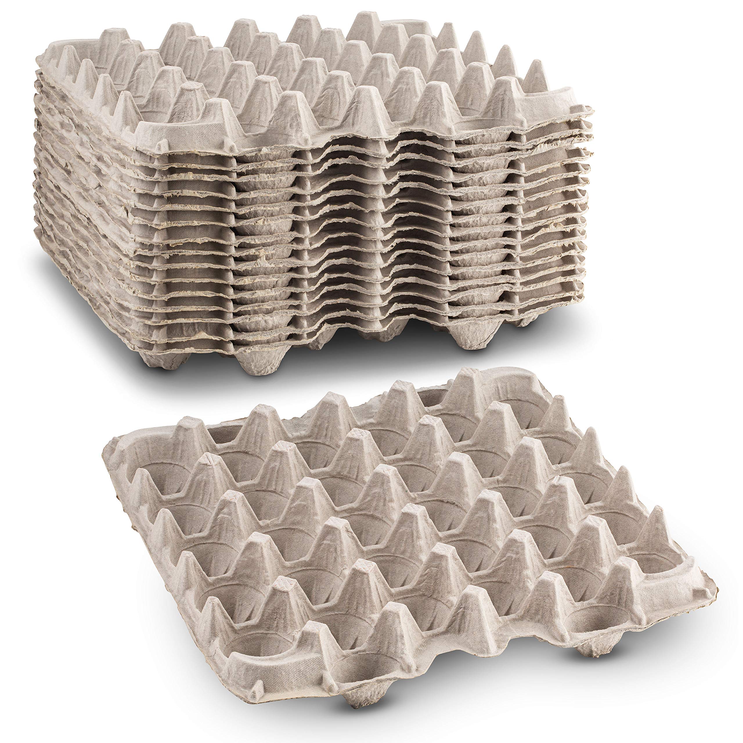 MT Products pulp fiber egg flat carton closed, holds up to 30 eggs for farm storage.