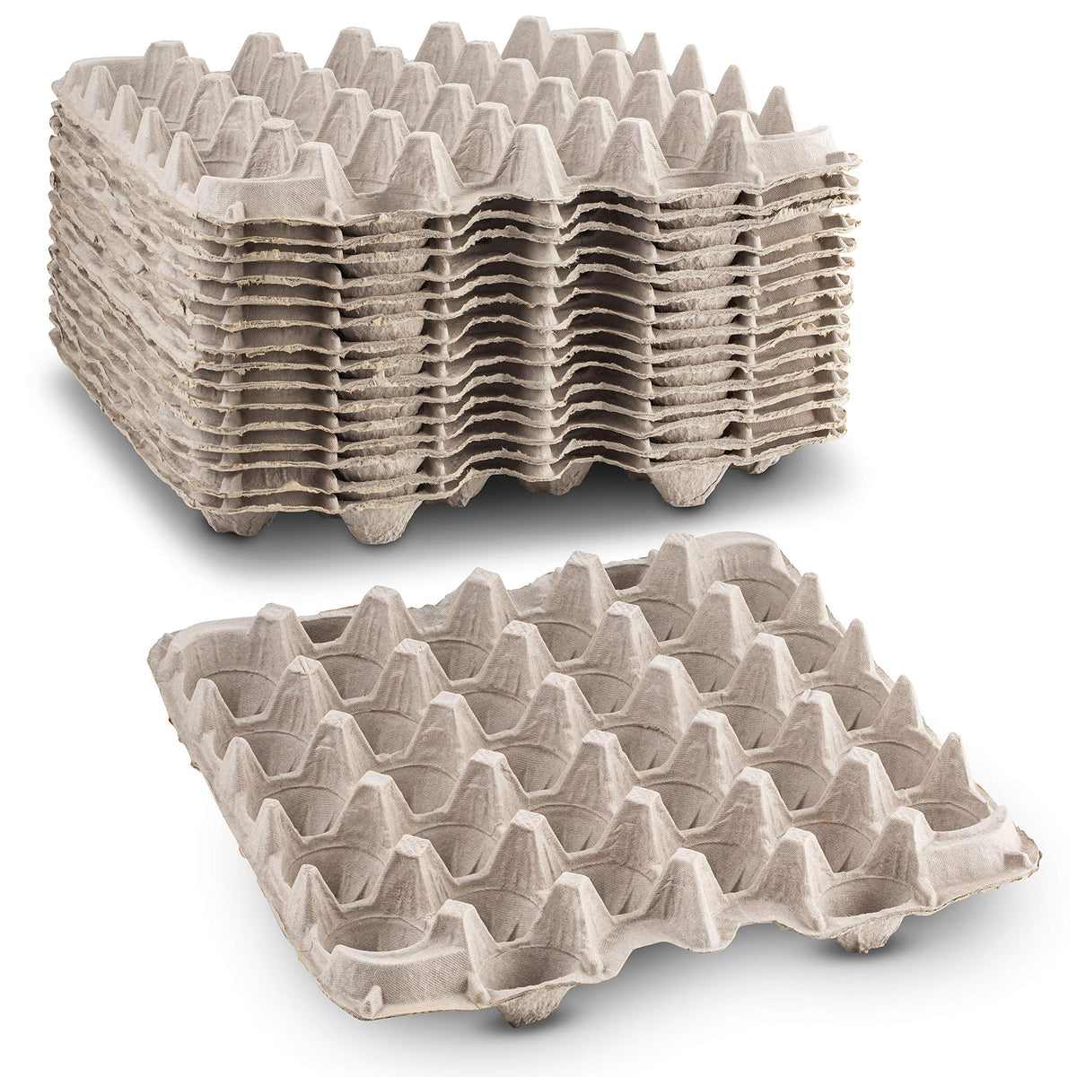 MT Products pulp fiber egg flat carton closed, holds up to 30 eggs for farm storage.
