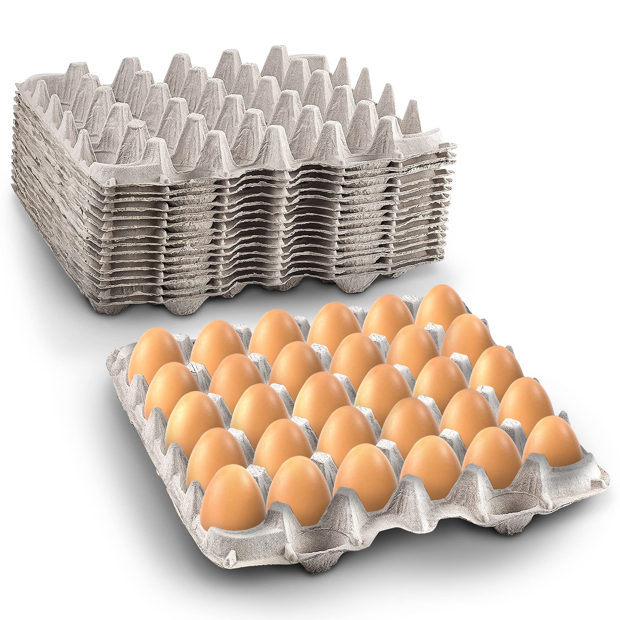MT Products pulp fiber egg flat carton open lid for easy egg transfer.
