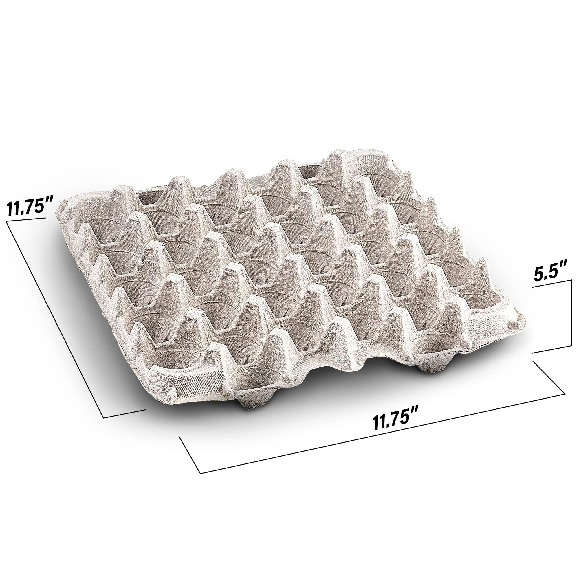 MT Products egg flat carton interior view showing sturdy pulp fiber construction.