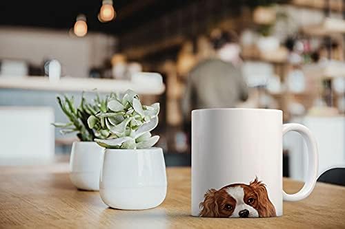 MUGBREW Cavalier King Charles Spaniels gift-ready mug loved by dog enthusiasts