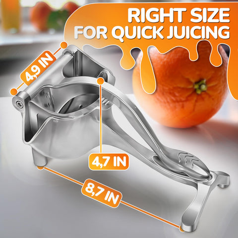 NADOBA fresh fruit juicer with large 0.6L container for servings.