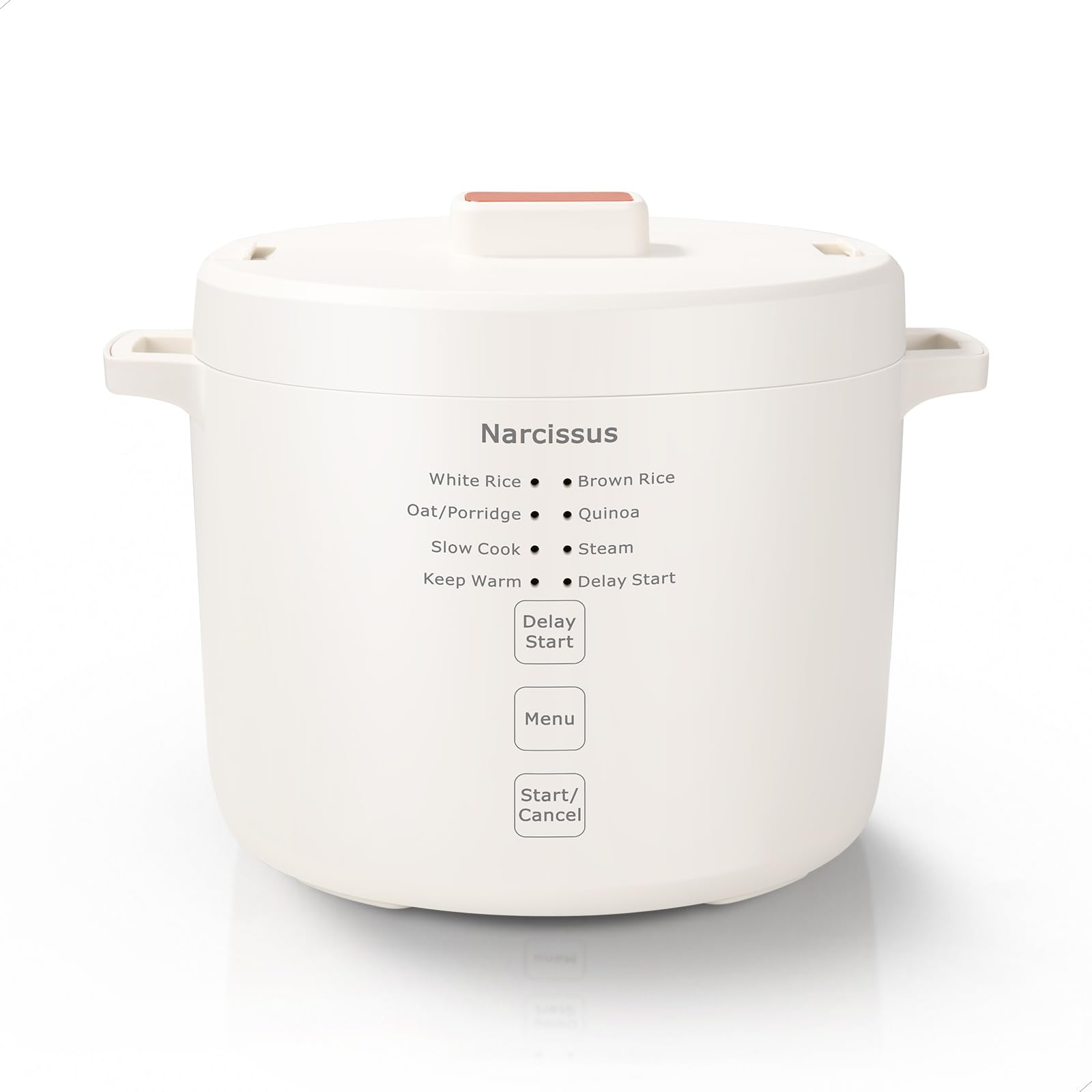 Narcissus 3.5-Cup Rice Cooker front view for compact kitchens.