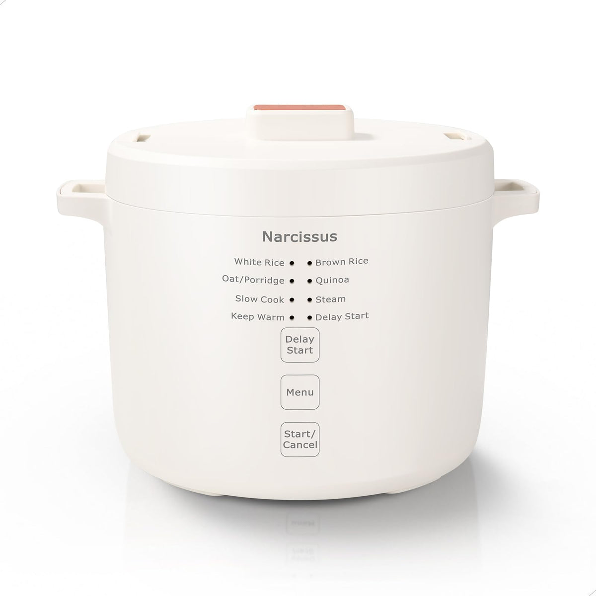 Narcissus 3.5-Cup Rice Cooker front view for compact kitchens.