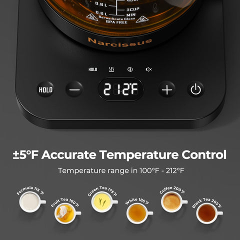 Narcissus glass kettle with removable infuser for loose-leaf tea.