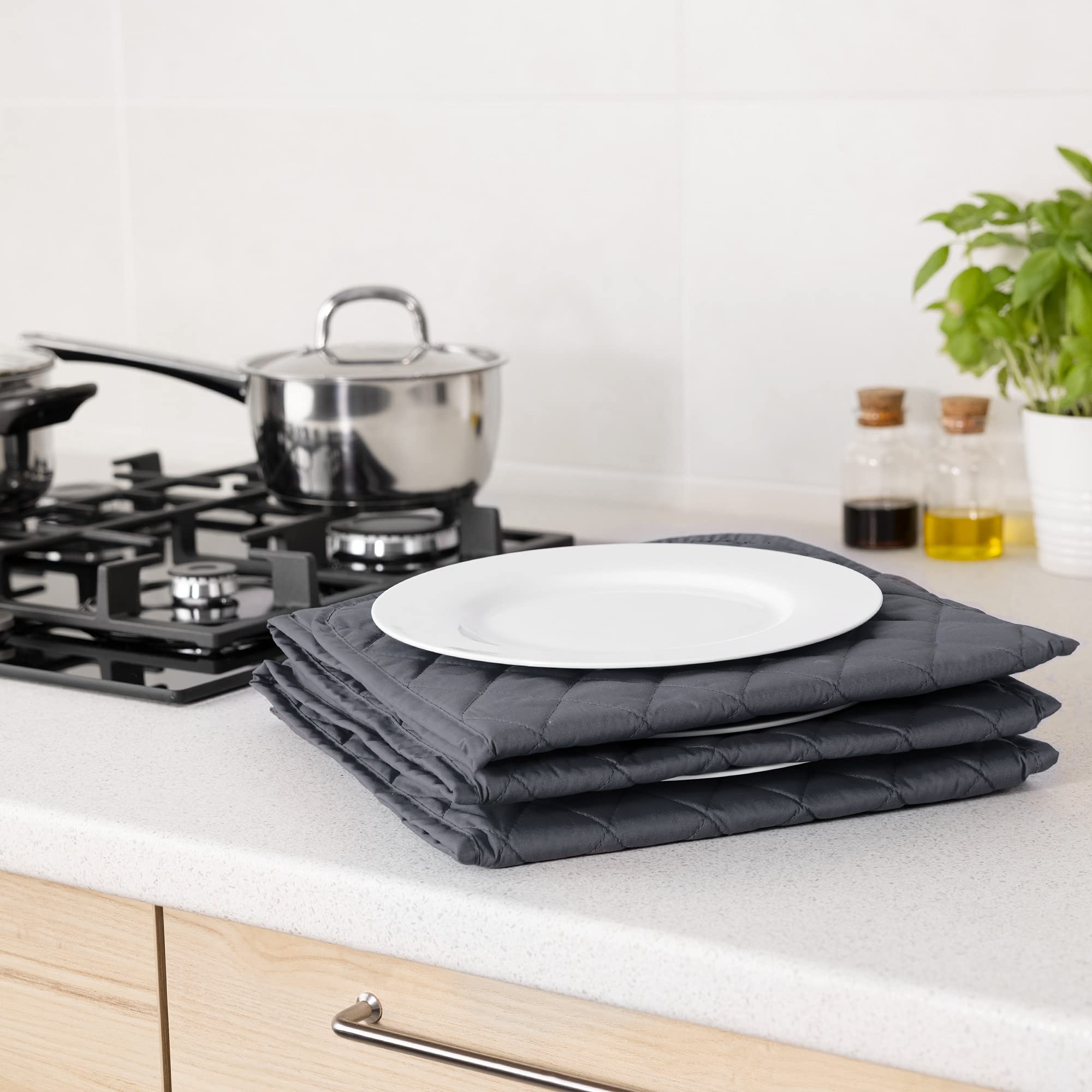 Navaris plate warmer shows quick heat up to serving temperature