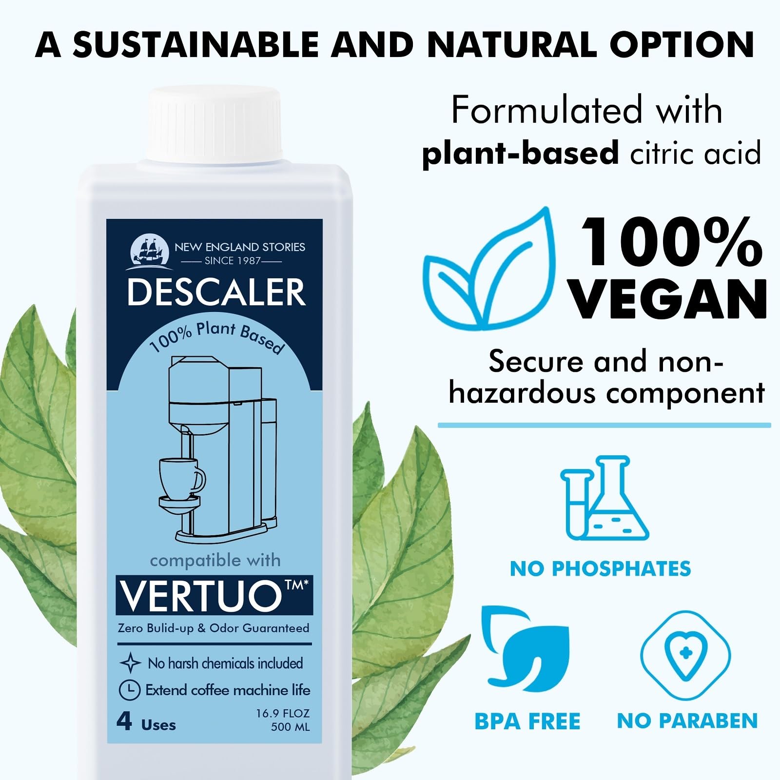 New England Stories descaling kit in-use setup for quick routine