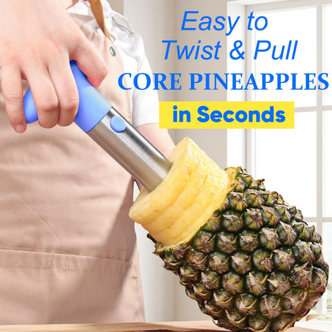 Newness Premium Pineapple Remover Kit emphasizes durable stainless steel construction.