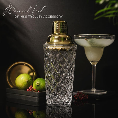 Nikita By Niki 16 oz crystal-cut shaker with built-in strainer for smooth pours.