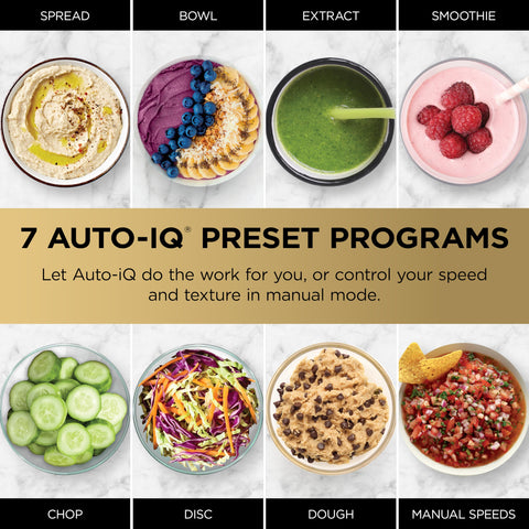 Ninja Foodi Power Blender Slicing/Shredding Disc for veggies and toppings