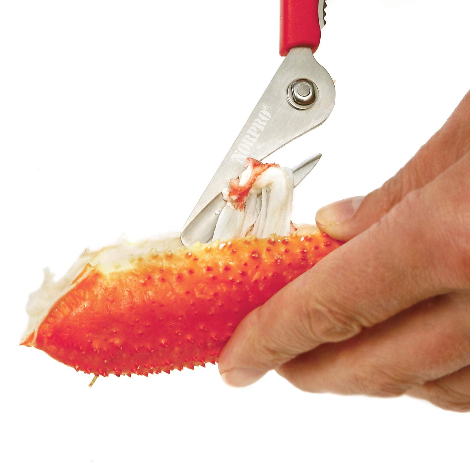 Norpro 6516 red shears opening a shell with bottom blade scoop.