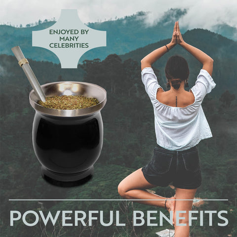 Norte Yerba Mate Cup Kit dishwasher-safe cup for easy cleaning