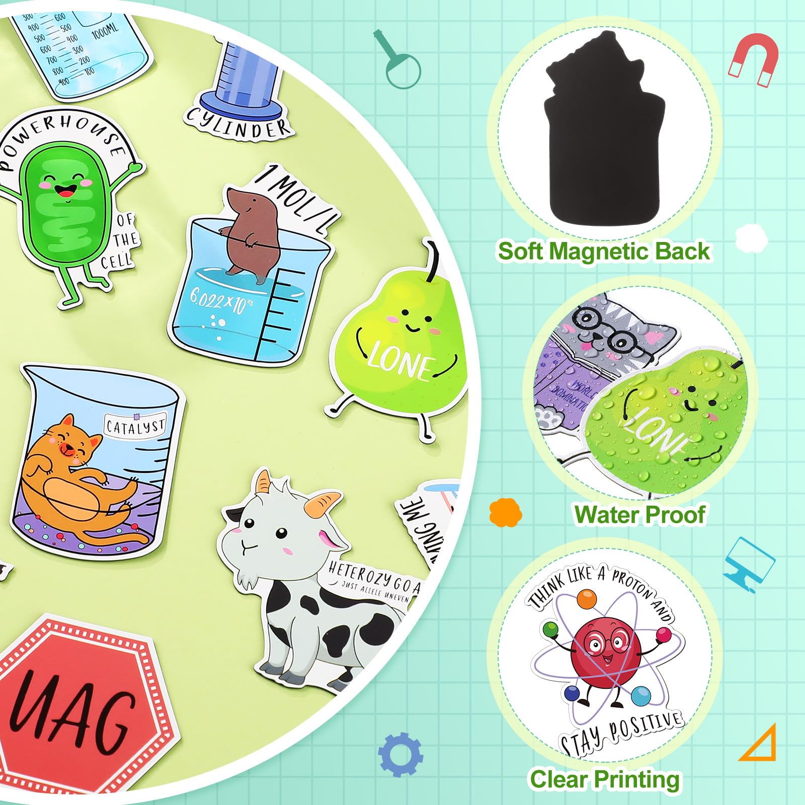 Noveread biology pun magnets keep reminders handy while sparking curiosity in kitchen or office.