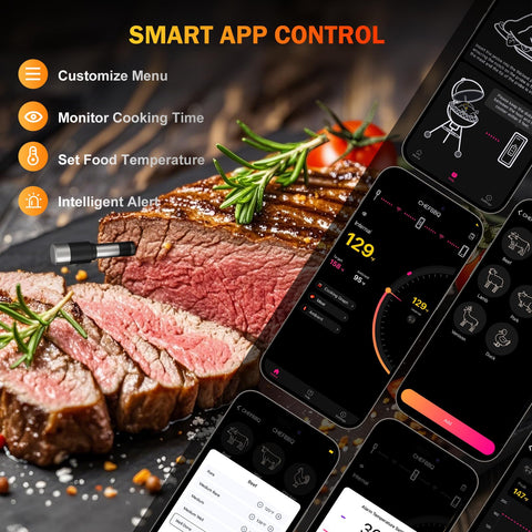 NoWoW thermometer showing dual sensors reading ambient and meat temperatures together.
