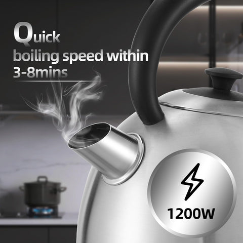 Ohigitecki stainless steel kettle front view showcasing timeless design.