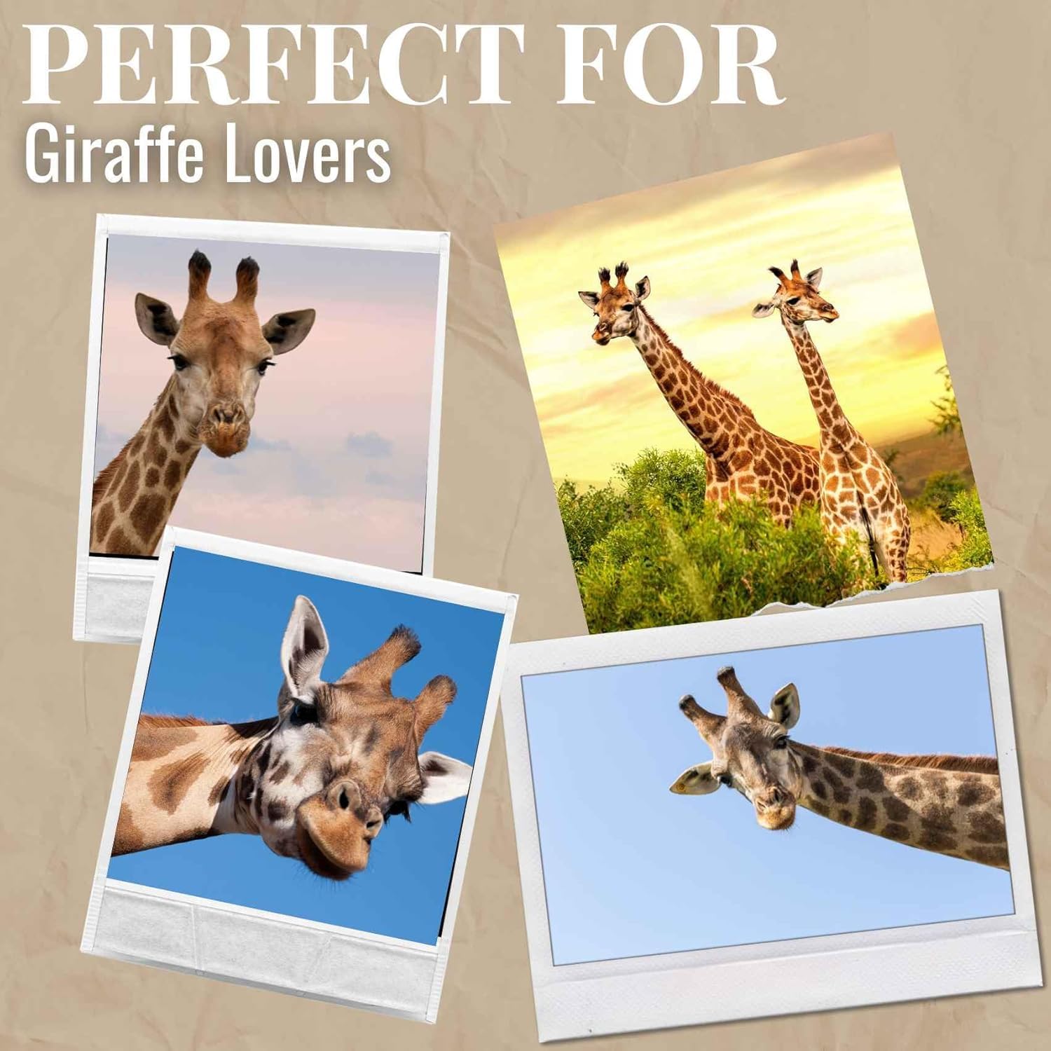 Onebttl ice retention up to 9 hours, ideal for outdoor use