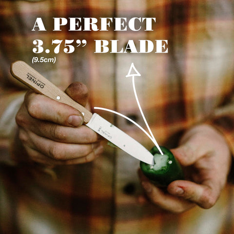 OPINEL No. 112 stabilized beechwood handle provides comfortable grip and moisture protection.