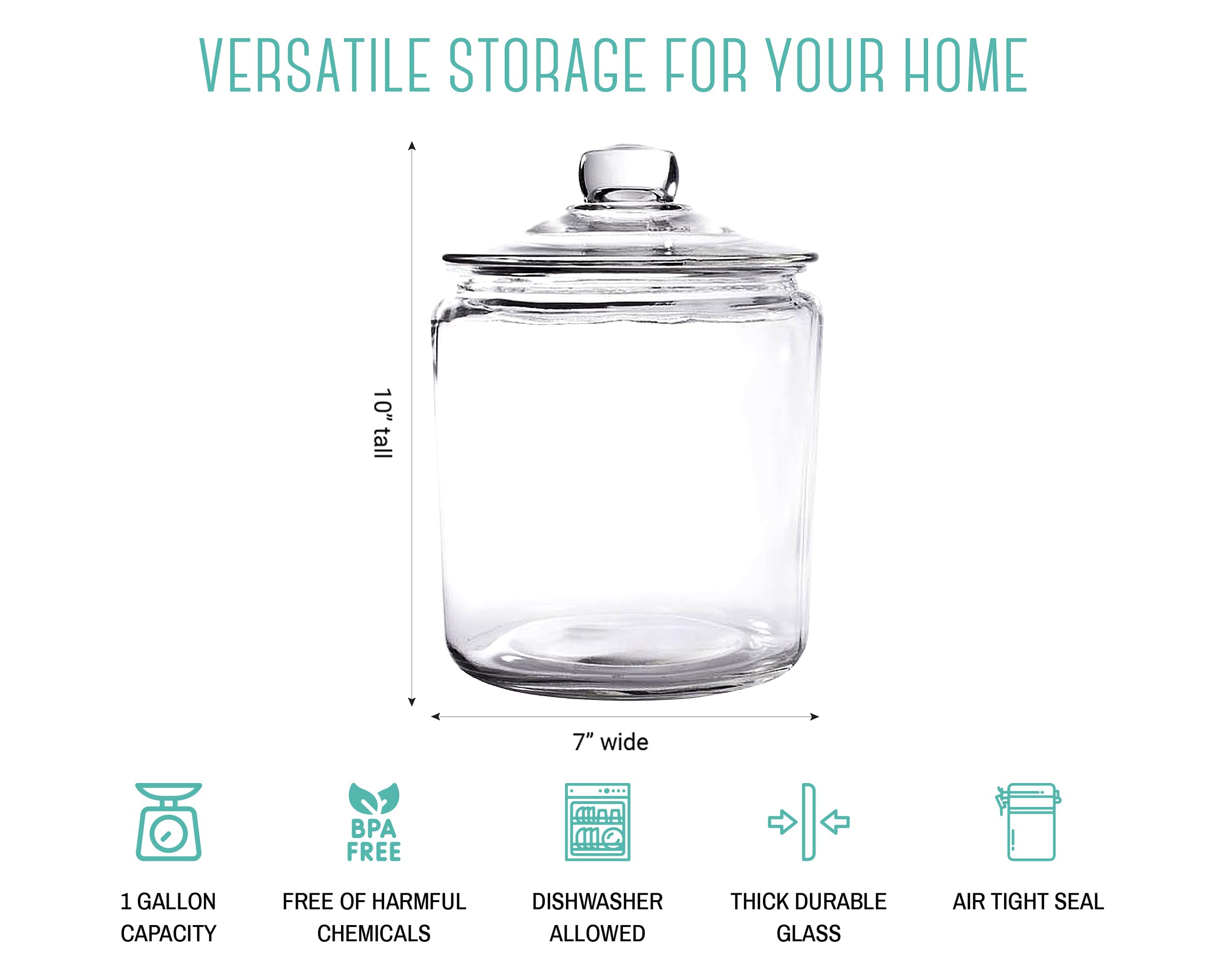 OUTSHINE 1 Gallon Cookie Jar with dog treats for organized snacks.