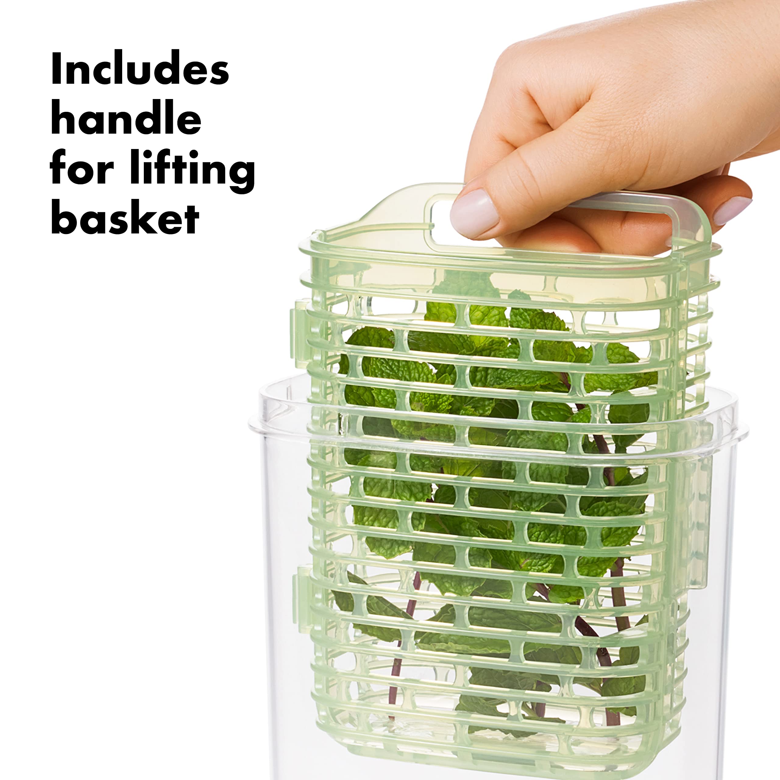 OXO Greensaver stores basil and parsley neatly in the keeper